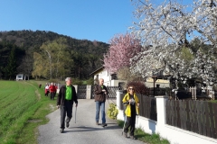 Nordic Walking 20170403_085536