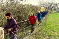 Nordic Walking 20170408_090559