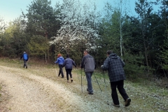 Nordic Walking 20170408_092117