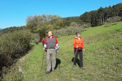 NordicWalking-F2019_20190417_085859