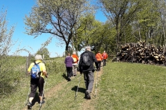 NordicWalking-F2019_20190420_105427