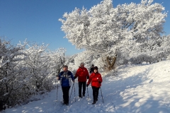 20180115_085445 NordicWalking