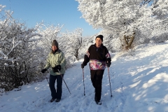 20180115_085453 NordicWalking